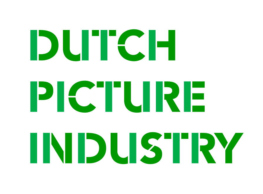 DUTCH PICTURE INDUSTRY