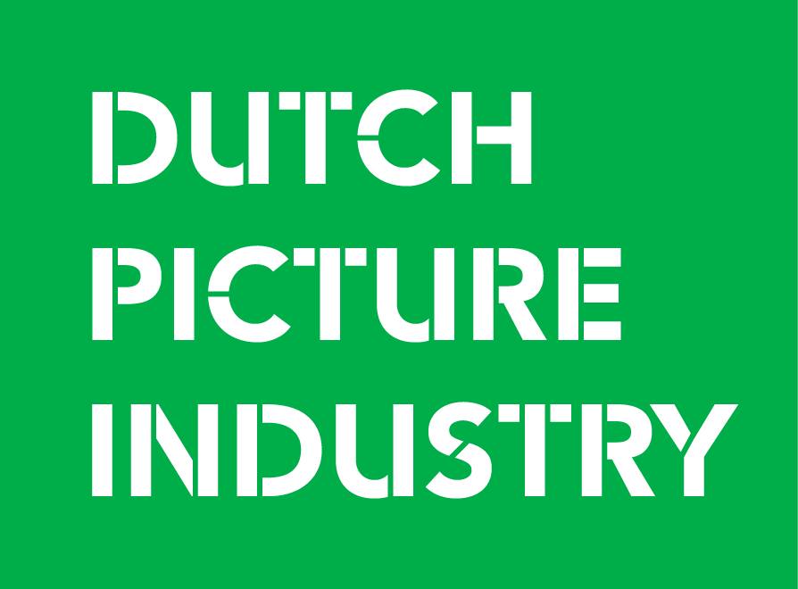 DUTCH PICTURE INDUSTRY