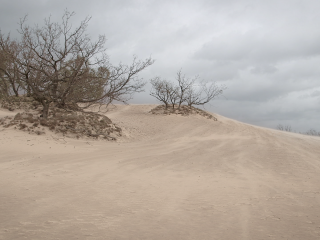 Natuurmonumenten