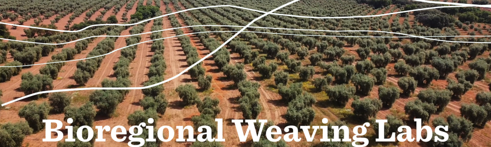 Olive trees and title